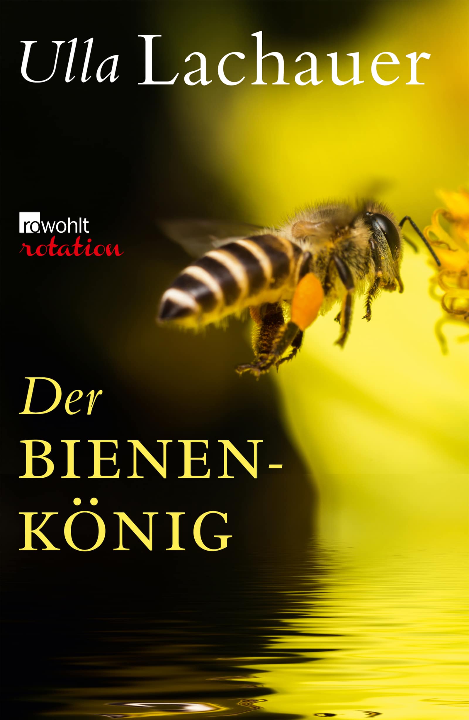 Cover des E-Book "DER BIENENKÖNIG"