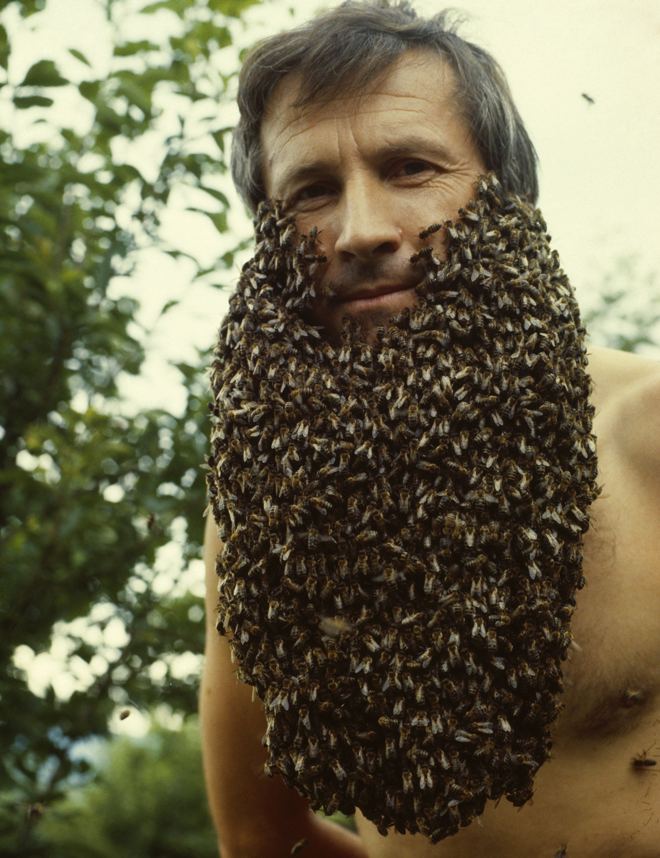 Franc Sivic mit einem Bart aus tausenden Honigbienen auf nackter Haut